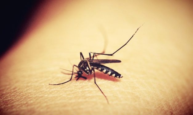 No le des lugar al Dengue