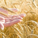 La Provisión de Dios