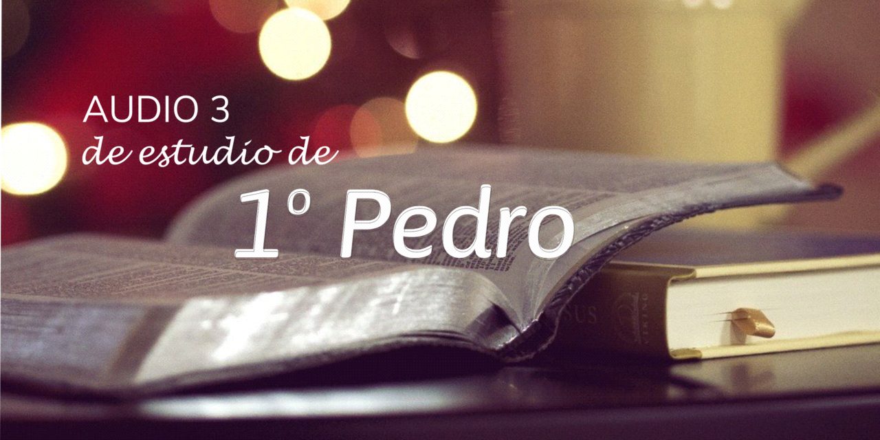 AUDIO 3 de Estudio DE 1º PEDRO