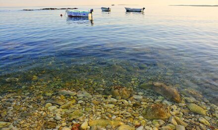 VE A LAS AGUAS MAS PROFUNDAS
