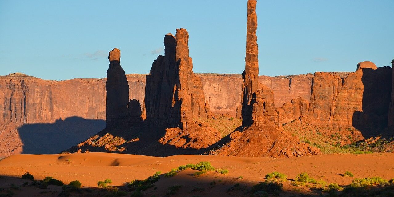 Una Sombra en Tierra reseca