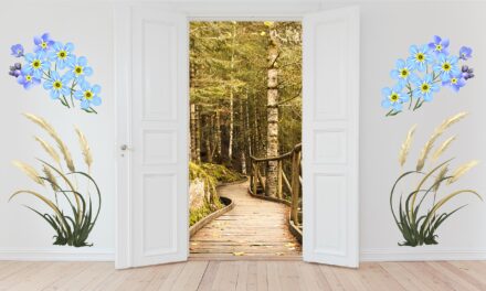 Una Puerta Abierta