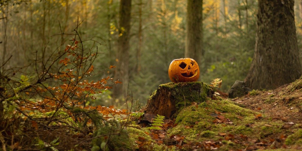 La verdad detrás de la calabaza